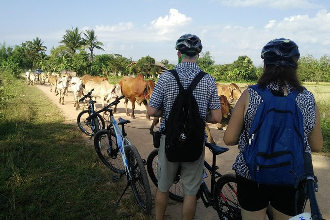 Half Day Cycling Tour to the White temple - Is $51.49 good value?