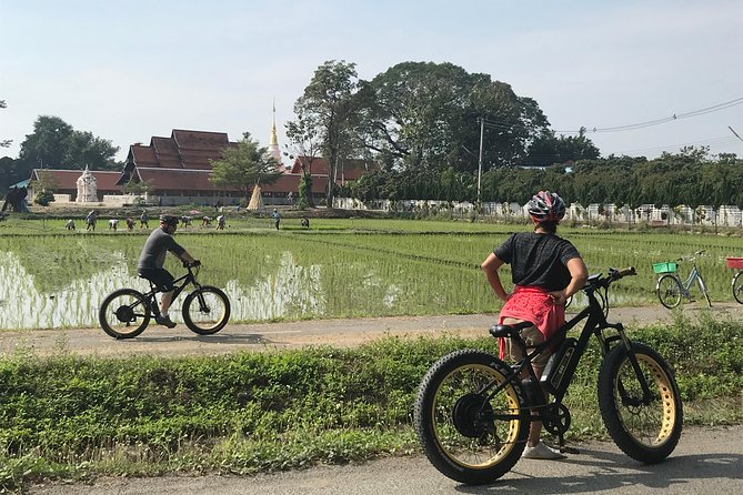 Half-day E-bike Countryside and rice paddies (flat land, GUIDED) - Rice fields, orchards, and village roads