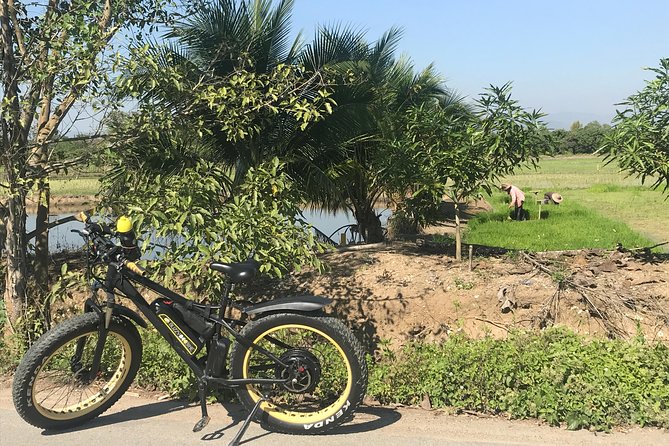 Half-day E-bike Countryside and rice paddies (flat land, GUIDED) - The Ping River and Wat Chang Nam archaeological site