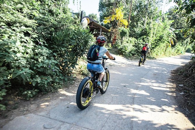 Half-day E-bike Countryside and rice paddies (flat land, GUIDED) - The guides make the difference