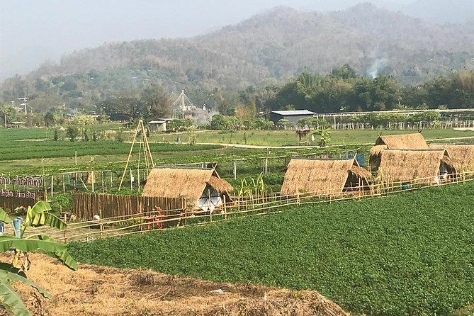 Half-day E-bike Nam Phrae (hilly, fully paved roads, GUIDED) - Food, Equipment, and Practical Comfort