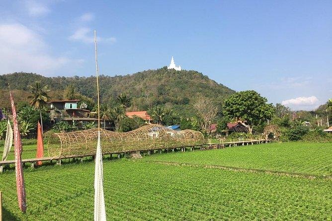 Half-day E-bike Nam Phrae (hilly, fully paved roads, GUIDED) - Why the E-Bikes Matter on a 35 to 40 Kilometer Route