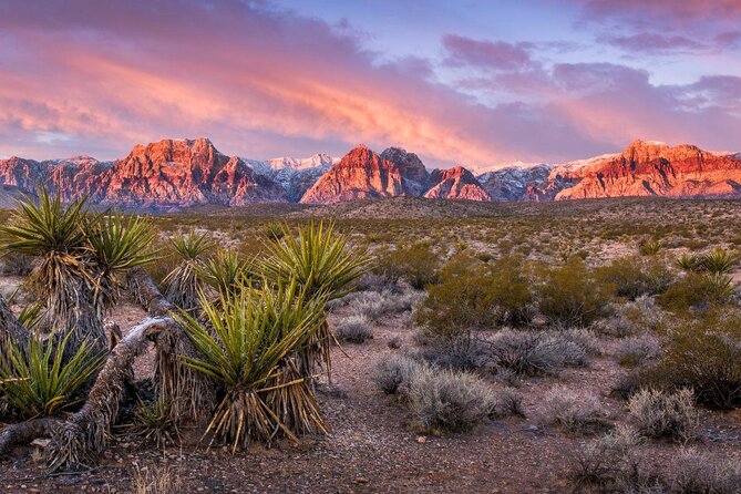 Half-Day Electric Bike Tour of Red Rock Canyon - Key points at a glance