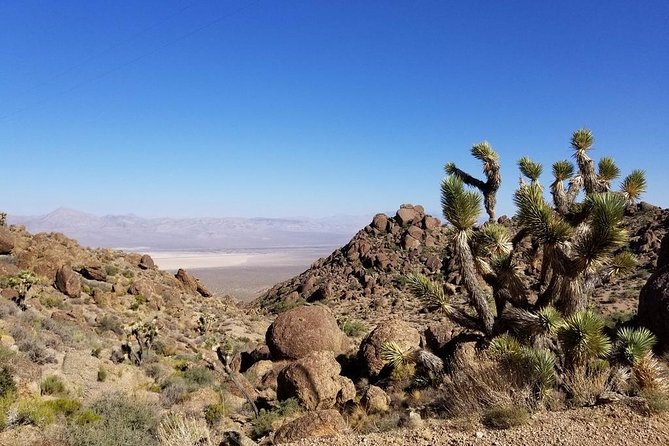 Half-Day Electric Bike Tour of Red Rock Canyon - Why Red Rock works so well as a half-day outing