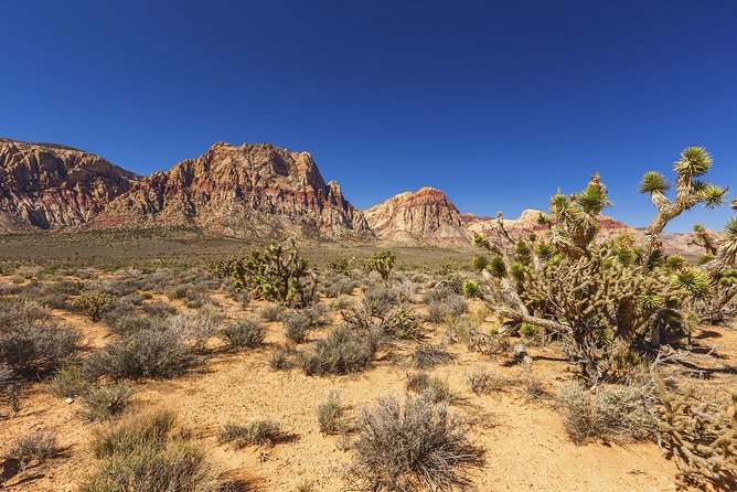 Half-Day Electric Bike Tour of Red Rock Canyon - Getting familiar with the Specialized Turbo e-bike