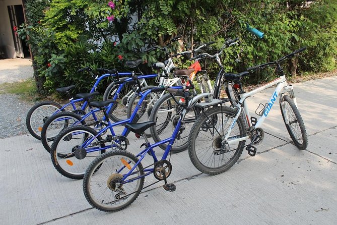 Half-Day Lanna Countryside Cycling Tour in Chiang Mai - Lunch, water, and the practical comforts