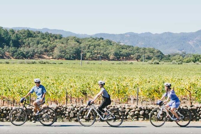 Half-Day Napa Winery E-Bike Tour - Lunch planning takes a little care