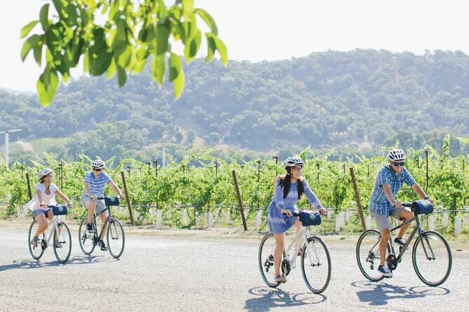 Half-Day Napa Winery E-Bike Tour - Who will enjoy this tour most
