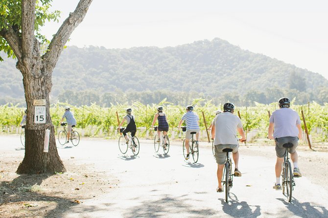 Half-Day Napa Winery E-Bike Tour - Booking advice and final verdict