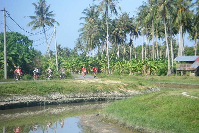 Half-Day Penang Countryside Cycling Tour - The highlights at a glance