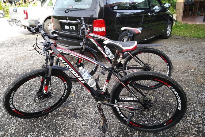 Half-Day Penang Countryside Cycling Tour - Sungai Rusa, plantations, and the best cycling