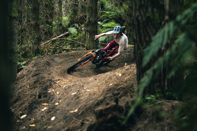 Half-Day Self-Guided Mountain Bike Journey through Whakarewarewa Redwood Forest - Arriving at the Waipa State Mill Road meeting point