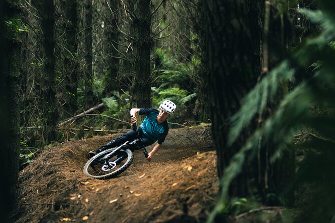 Half-Day Self-Guided Mountain Bike Journey through Whakarewarewa Redwood Forest - Price, inclusions, and what you still need to pay for