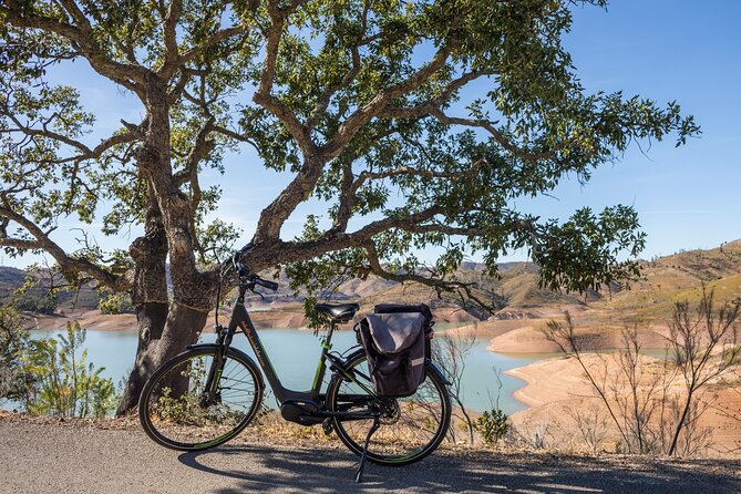 Half-Day Small-Group E-Bike Tour of Rural Algarve with Lunch - What Makes This Ride Special
