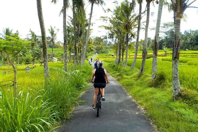 Half-Day Ubud Electric Cycling Tour to Tirta Empul Water Temple - Rice paddies, village lanes, and everyday Bali
