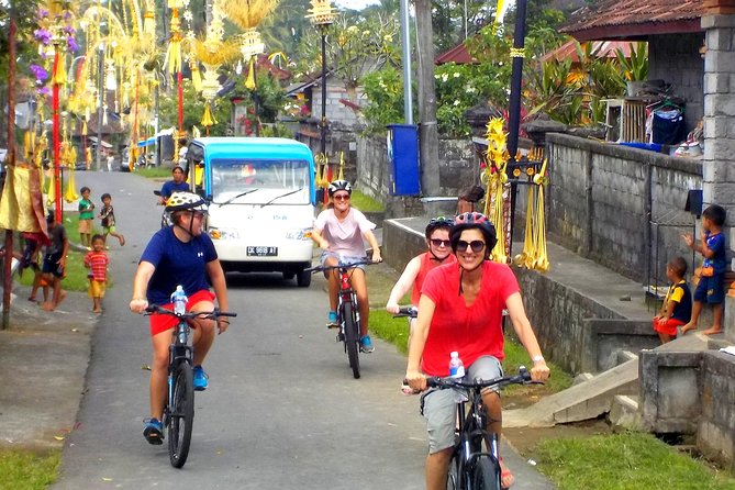 Half-Day Ubud Electric Cycling Tour to Tirta Empul Water Temple - What the riding feels like