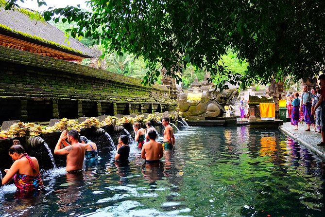 Half-Day Ubud Electric Cycling Tour to Tirta Empul Water Temple - Is the $49 price good value?
