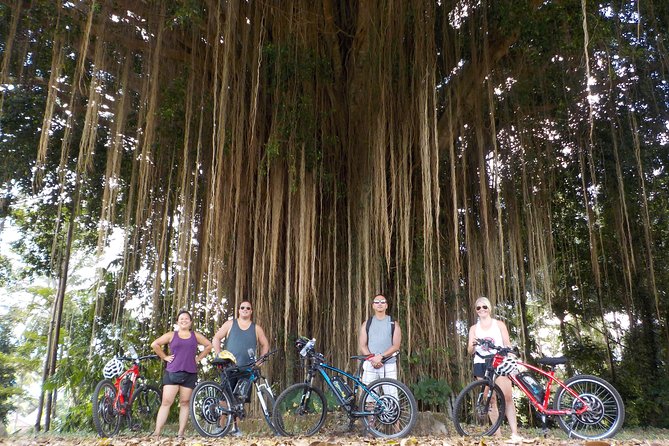 Half-Day Ubud Electric Cycling Tour to Tirta Empul Water Temple - Who should book this ride?