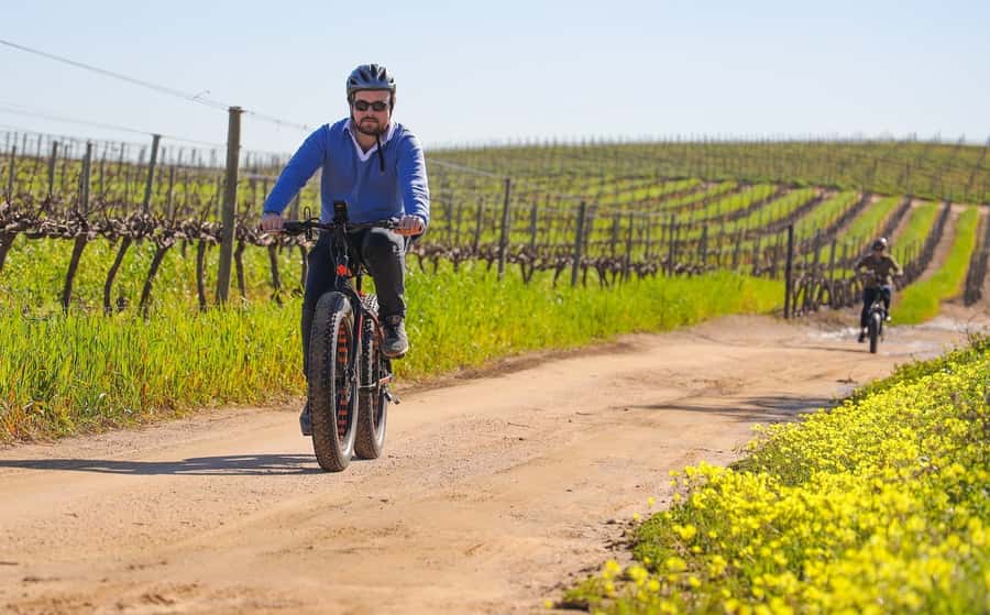 Half-Day Winelands E-Bike Tour with Wine Tasting - Key Points Before You Book