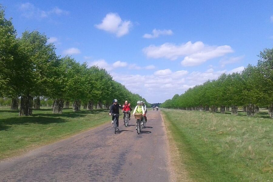 Hampton Court Palace: River Thames Bike Tour - Along the Thames, from royal ruins to rowing schools