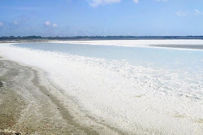 Happy tour camargue an immersion by bike and scooter E - Why the Small Group Matters