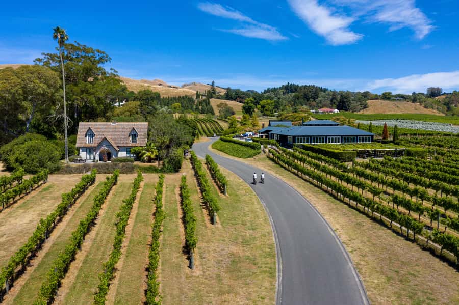 Hawke's Bay: Self Guided Coast to Vineyards Cycle Tour - What this Napier to vineyard ride is really like