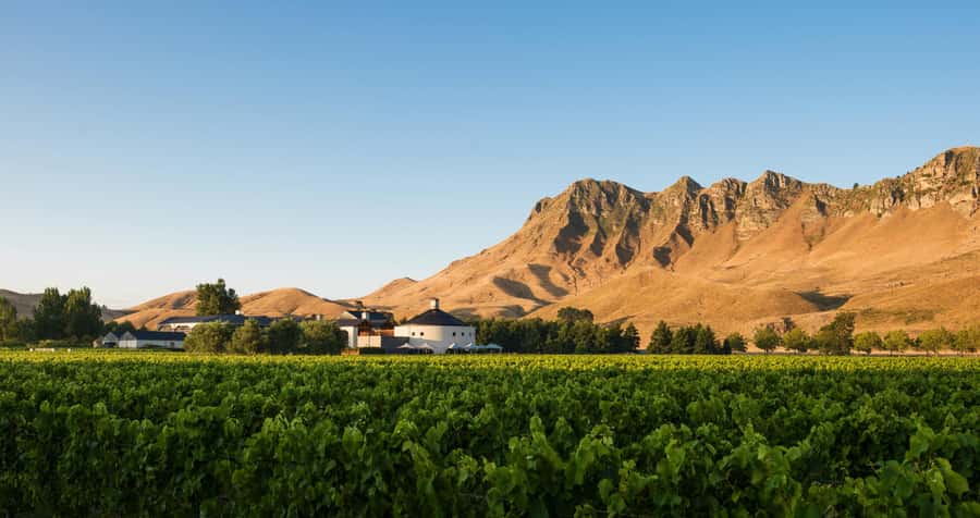 Hawke's Bay: Self Guided Coast to Vineyards Cycle Tour - Following the Tukituki River inland