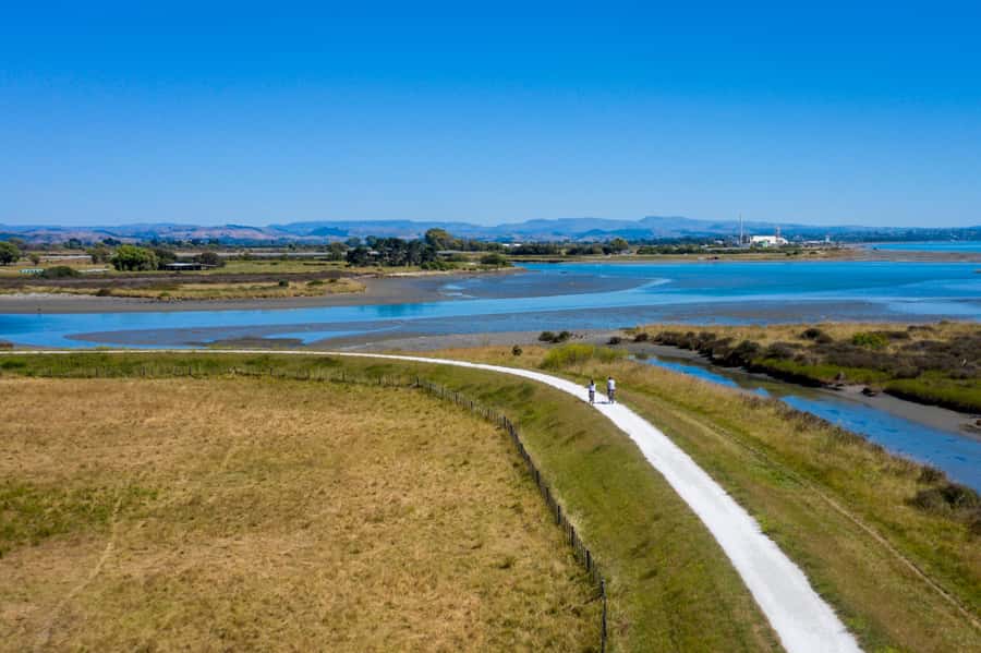 Hawke's Bay: Self Guided Coast to Vineyards Cycle Tour - Choosing between Askerne, Te Mata, Craggy Range, and Black Barn