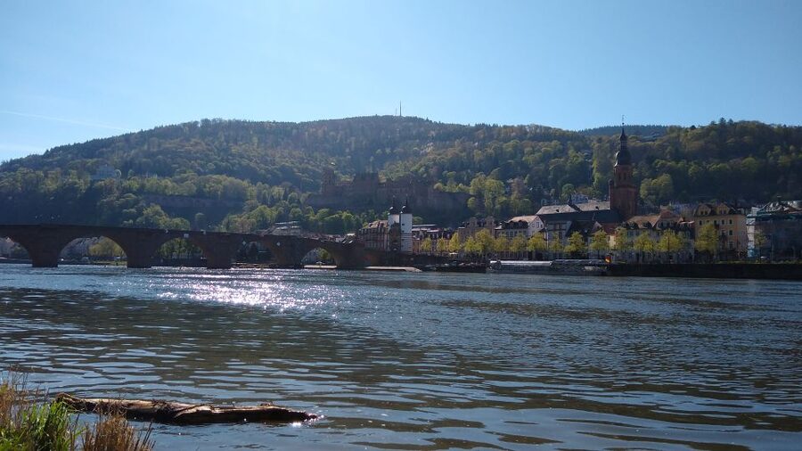 Heidelberg: Guided Bike Tour - Key Points Before You Book