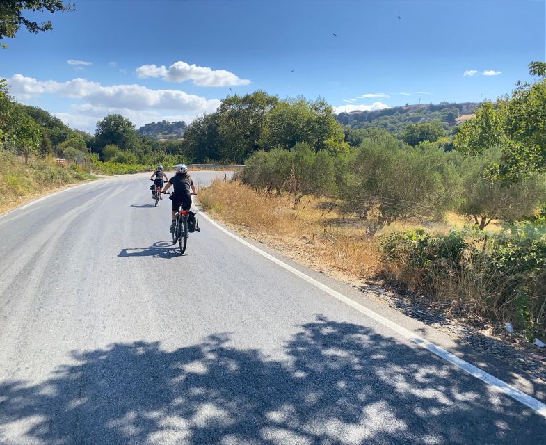 Heraklion: Wine Tasting E-Bike Tour - Who will enjoy this Ammoudara to Dafnes tour?