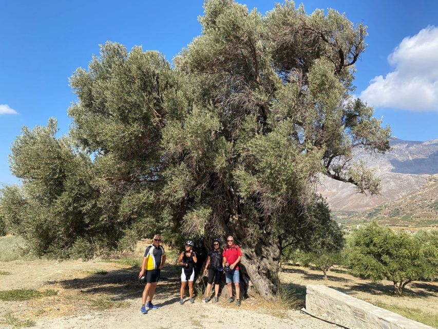Heraklion: Wine Tasting E-Bike Tour - Dafnes, Crete’s wine village