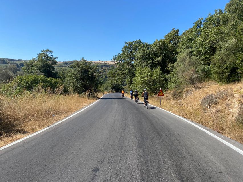 Heraklion: Wine Tasting E-Bike Tour - Rain, heat, and other practical concerns