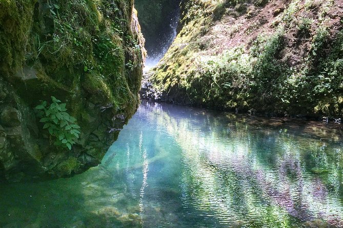 Hike and Bike Tour to Columbia River Gorge Waterfalls - Starting at 833 SE Main Street