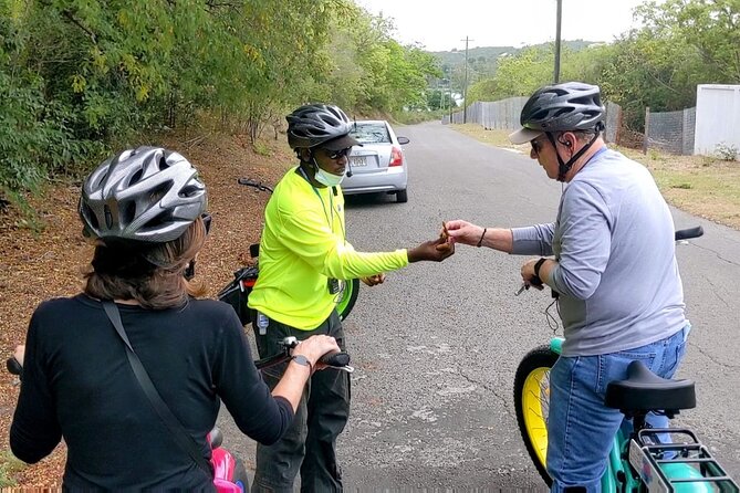 Historic City, Fort and Beach E-Bike Tour - Fort James, Fort Barrington, and the coastal defenses