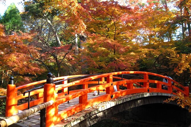 Historical Kyoto E-Bike Tour - Arashiyama Bamboo Forest on foot
