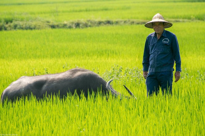 HOI AN Biking River Islands, Villages, Local Crafts PRIVATE TOUR - Making incense with a local craft family