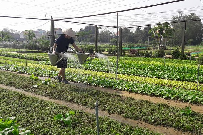Hoi An Countryside Biking Tour(Vegetable village -basket boat - fishing village) - Guides, Language, and the Private Format