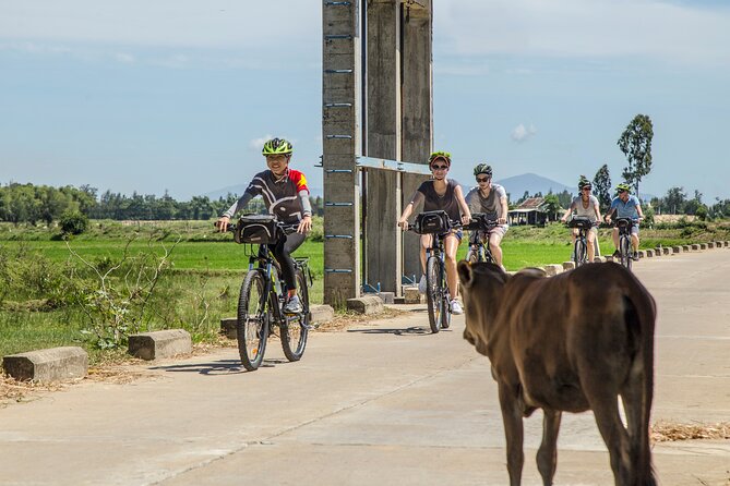 Hoi An Morning Countryside Tour by Bike - Key points before you book