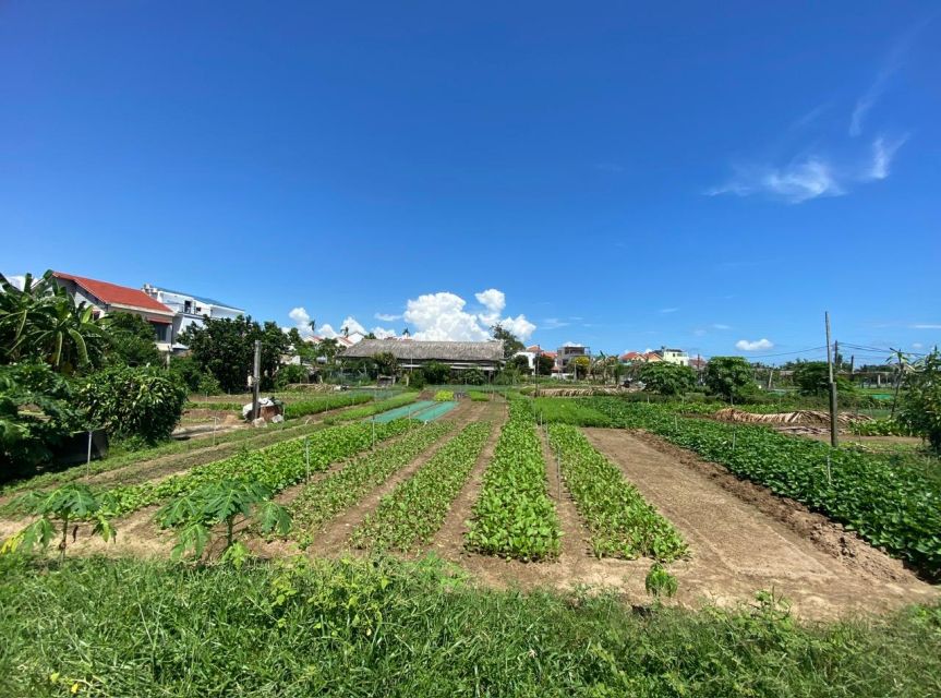 Hoi An: Rural Cycling Tour to Village with Basket Boat Ride - Starting at Tran Phu Street and leaving the old town behind
