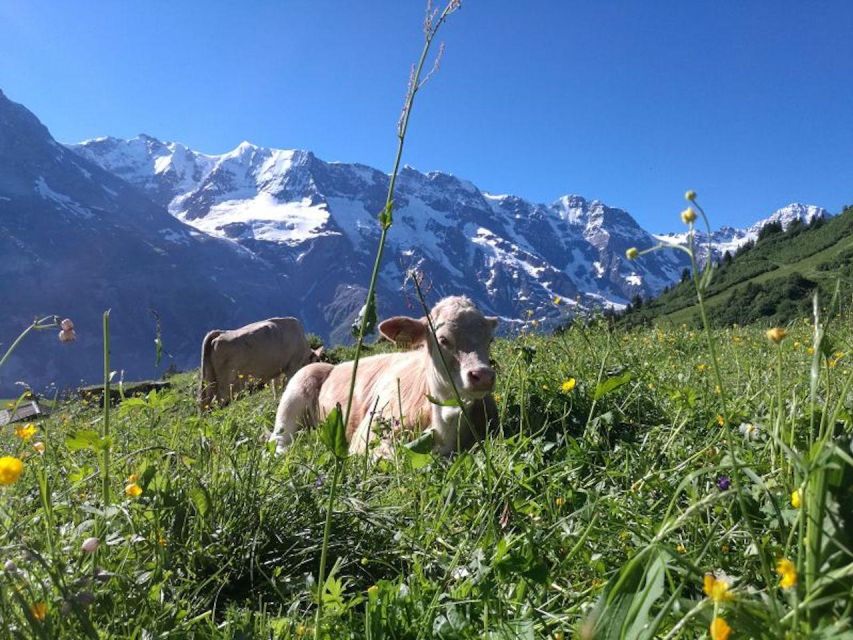 Interlaken: 72 Waterfalls Valley & Lauterbrunnen E-Bike Tour - Lauterbrunnen and the Valley of 72 Waterfalls