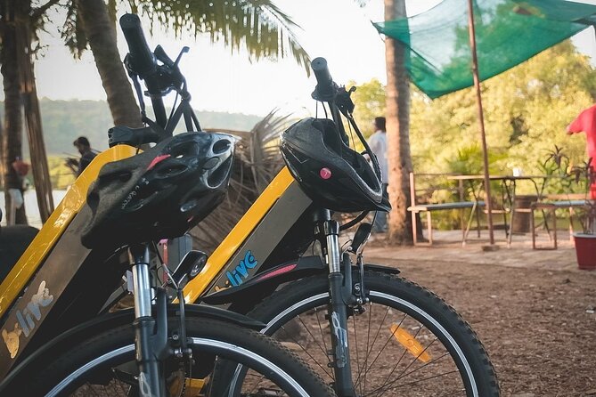 Island Hopping: Day E-Bike Exploration - Group size, fitness, and practical comfort
