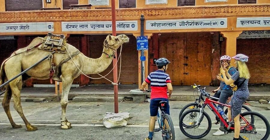 Jaipur: 3-Hour Morning Bike Tour of Jaipur Old City - Albert Hall Museum and Jaipur’s Morning Park Life