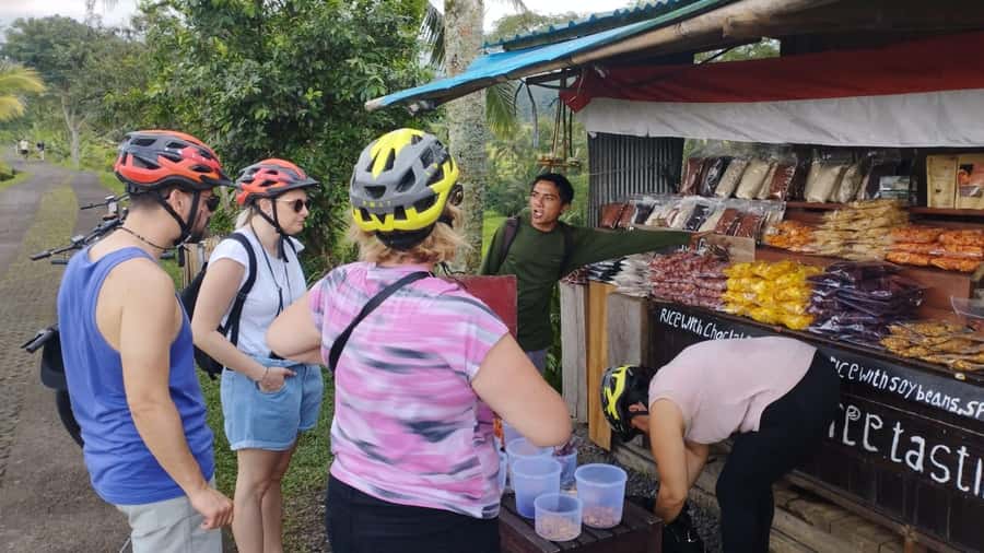 Jatiluwih (UNESCO Site) 2-Hour E-Bike Cycling Tour - Reaching the heart of the UNESCO site
