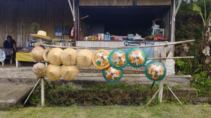 Jatiluwih (UNESCO Site) 2-Hour E-Bike Cycling Tour - Lunch after the rice terraces