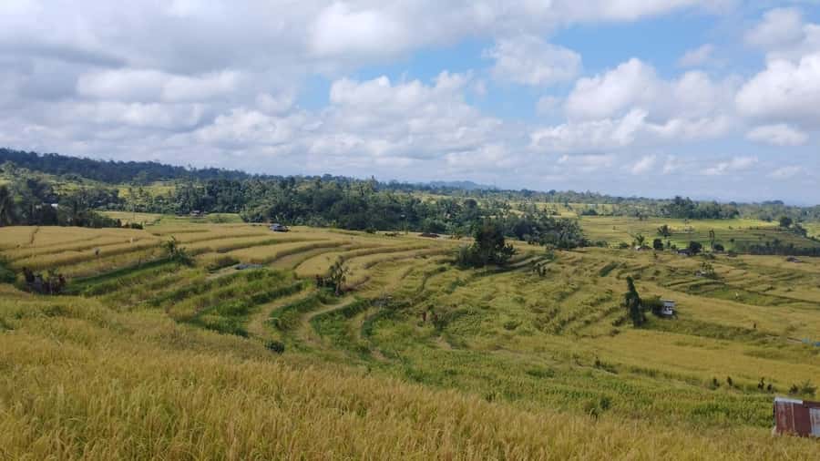 Jatiluwih (UNESCO Site) 2-Hour E-Bike Cycling Tour - Is $69 a fair price?