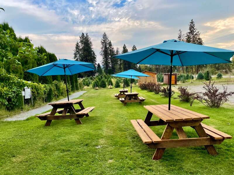 Kelowna: E-Bike Guided Wine Tour with Lunch & Tastings - Sperling Vineyards: your first taste of local wine