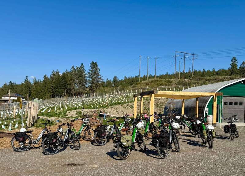 Kelowna: Wine Tasting by E-bike, Smartphone Guide & Lunch - The first ride through Kelowna