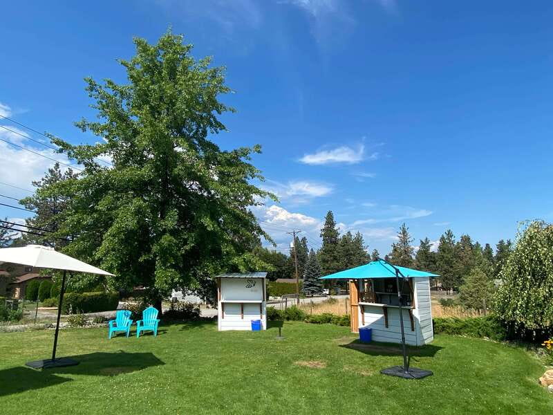 Kelowna: Wine Tasting by E-bike, Smartphone Guide & Lunch - The final ride back