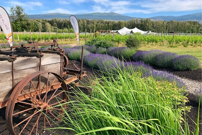 Kelowna Wine Tour by E-bike, Okanagan Valley Views and Lunch - Key points at a glance