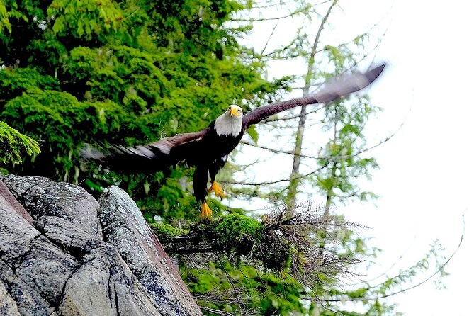 Ketchikan Electric Bike and Rain Forest Hike Ecotour - Rain is part of the setting